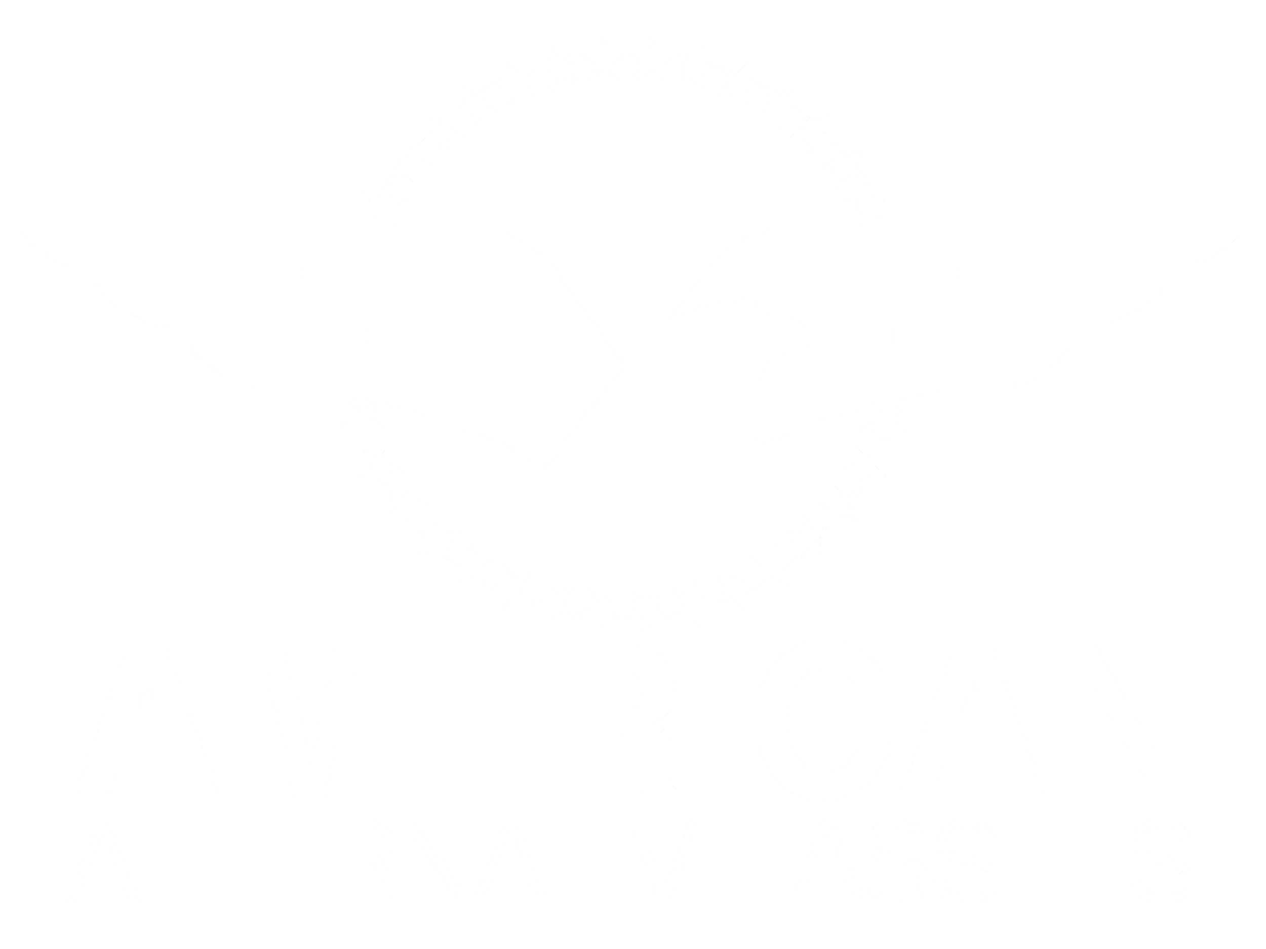 American Alternative Assets Logo